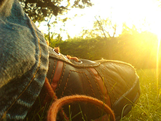 Schuh im Gras